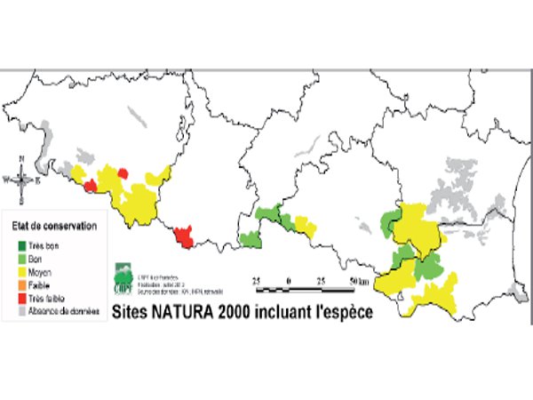 Répartition du grand tétras sur les sites Natura 2000 des Pyrénées