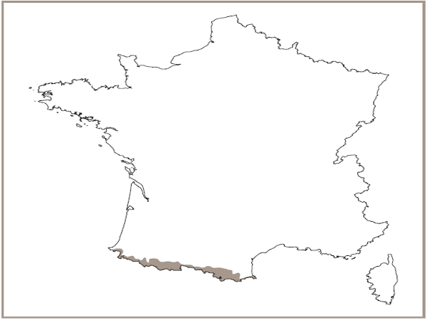 Répartition géographique des éboulis siliceux Pyrénéens